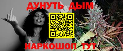 крисы Кинель