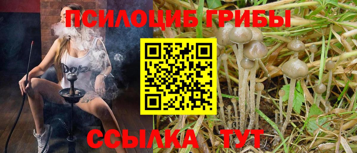 Псилоцибиновые грибы MAGIC MUSHROOMS  Псилоцибиновые грибы Psilocybine cubensis  Чусовой  Вход с VPN 